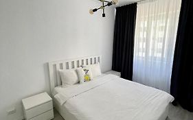 Cozy 1 Bedroom Apartment